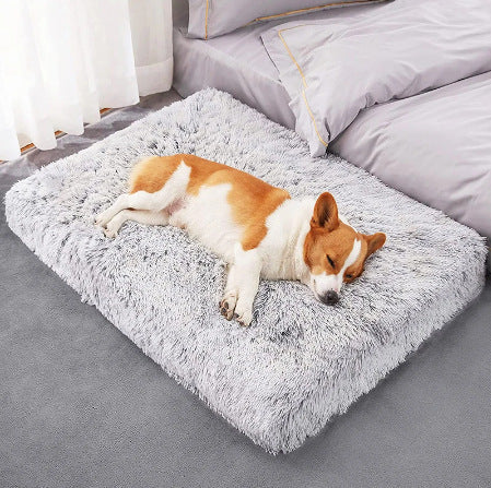 Cuccia ortopedica memory foam